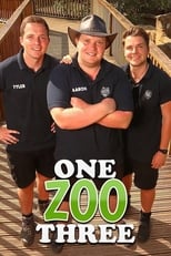 One Zoo Three poster