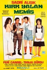 Poster for Kırk Yalan Memiş