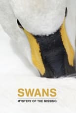 Poster for Swans: Mystery of the Missing