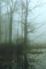 Poster for Early Spring Wetlands