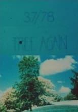 Poster for 37/78: Tree Again