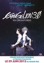 Evangelion : 3.0 You Can (Not) Redo serie streaming