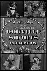 Dogville Shorts Collection