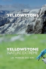 Poster for Epic Yellowstone Season 1