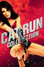 Cat Run Collection
