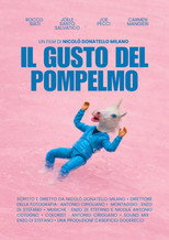 The Taste of the Grapefruit poster