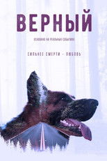 Верный poster