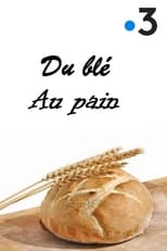 Poster for Du blé au pain 