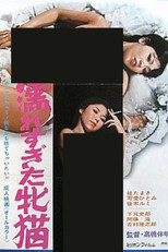 Wet She-Chat poster