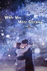 Poster for While You Were Sleeping Season 1