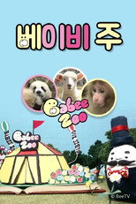 베이비 주 poster