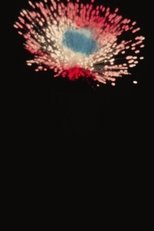 La Fontaine Lumineuse du Parc Lafontaine / Feu d’Artifice