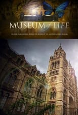 Poster for Museum of Life