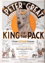 King of the Pack poster