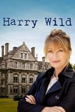 Poster di Harry Wild - La signora del delitto