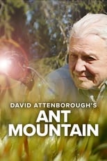 Poster for David Attenborough's Ant Mountain