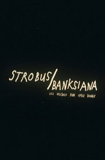 Strobus / Banksiana : les racines d'un opus double poster