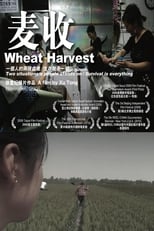 Wheat Harvest (2009)
