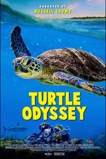 Film Turtle Odyssey streaming