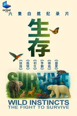 生存 poster