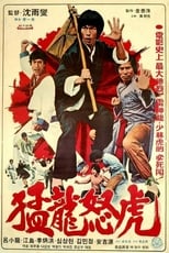 Poster for Bruce and Dragon Fist