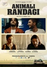 Animali randagi (2024)