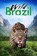 Wild Brazil