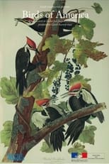 Poster ng Birds of America