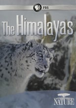Nature: The Himalayas