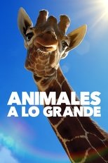 Ver Animales a lo grande (2023) Online