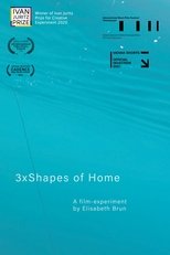 3xShapes of Home poster