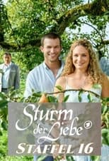 Poster for Sturm der Liebe Season 16