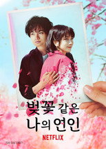 벚꽃 같은 나의 연인