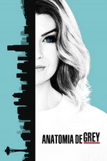 Grey’s Anatomy: 13ª Temporada