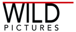 Wild Pictures