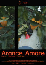 Bitter oranges poster