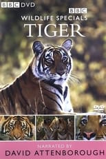 Poster for Tiger: The Elusive Princess