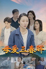 母爱三春晖 poster