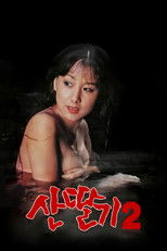 Mountain Strawberries 2 poster