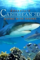 Poster for Adventure Caribbean 3D: Diving With Sharks 