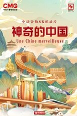 神奇的中国 (2024)