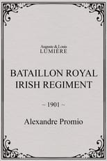 Poster for Bataillon Royal Irish Regiment 