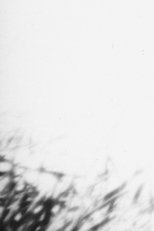 Hidden Objects 1 Hidden Objects 1