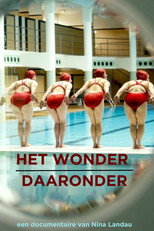 Poster for Het wonder daaronder