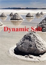 Poster for Dynamic Salt