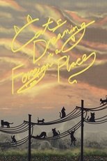 Cats Dreaming in a Foreign Place poster