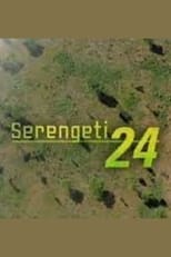 Serengeti 24