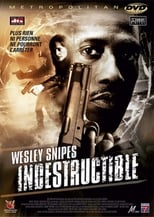 Indestructible serie streaming