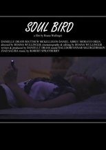 Poster for Soul Bird