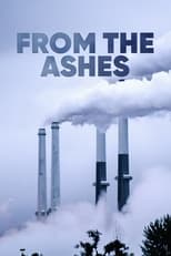 Poster for From the Ashes